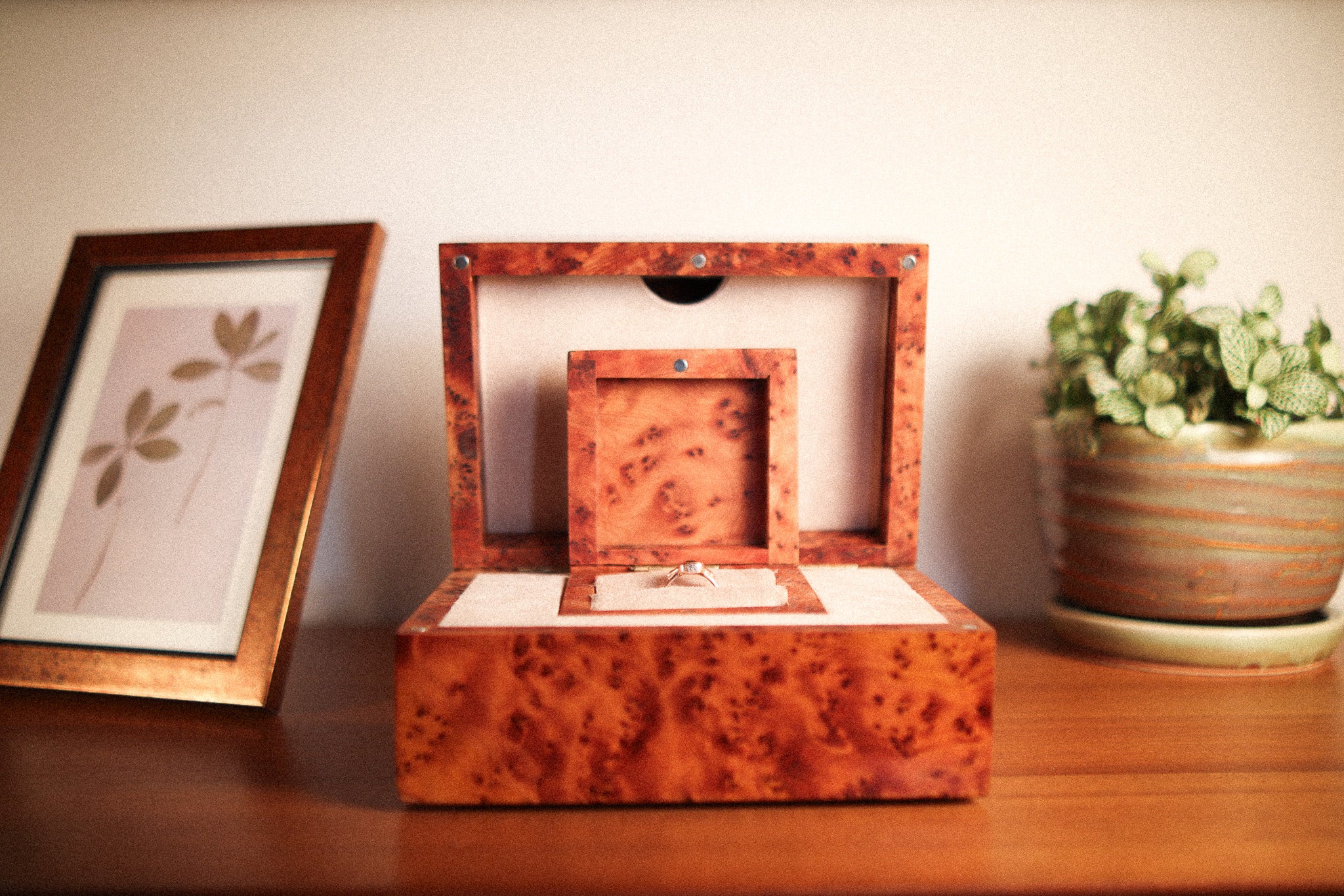 Graveshire Ring / white gold + ruby