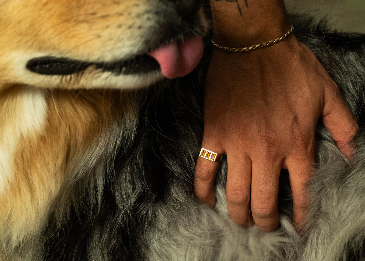Oathbound Ring | Citrine
